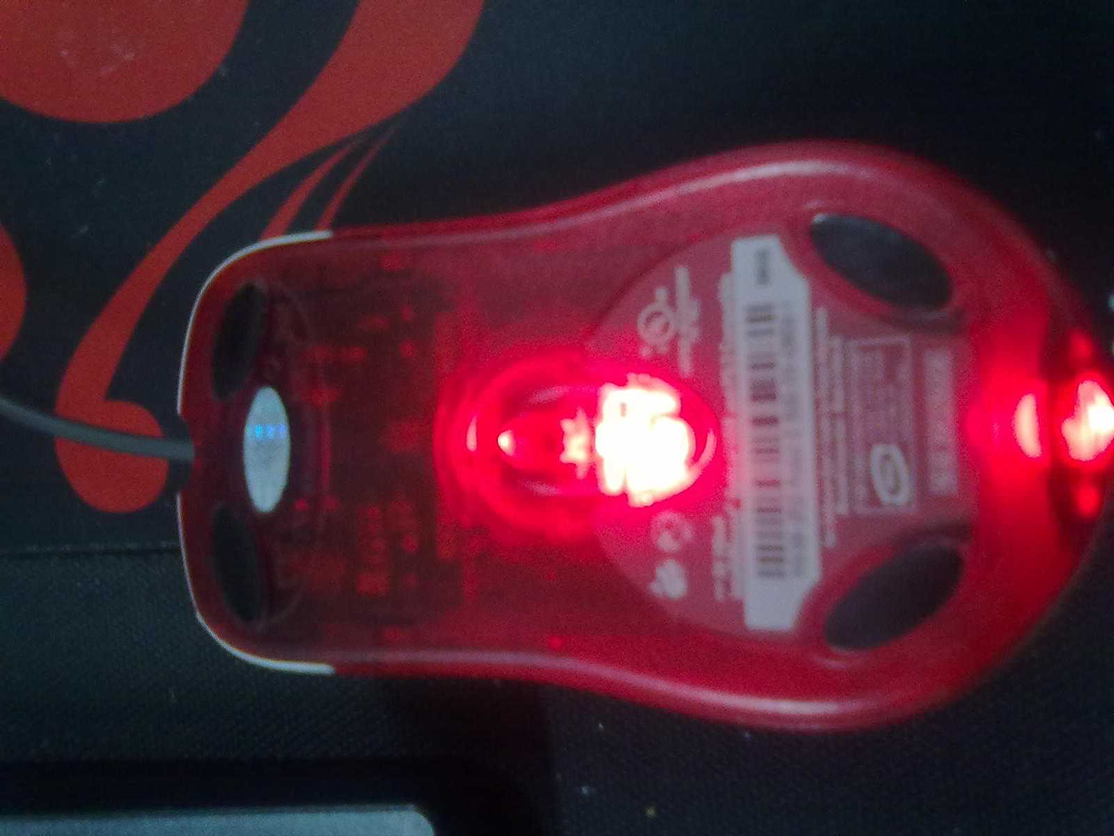 20111118279.jpg