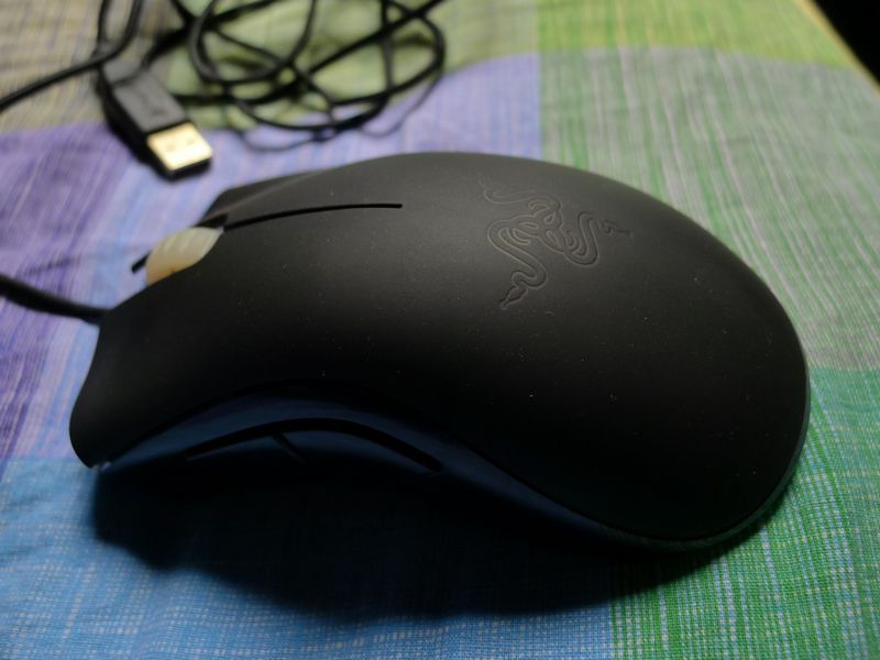 P1020150.JPG