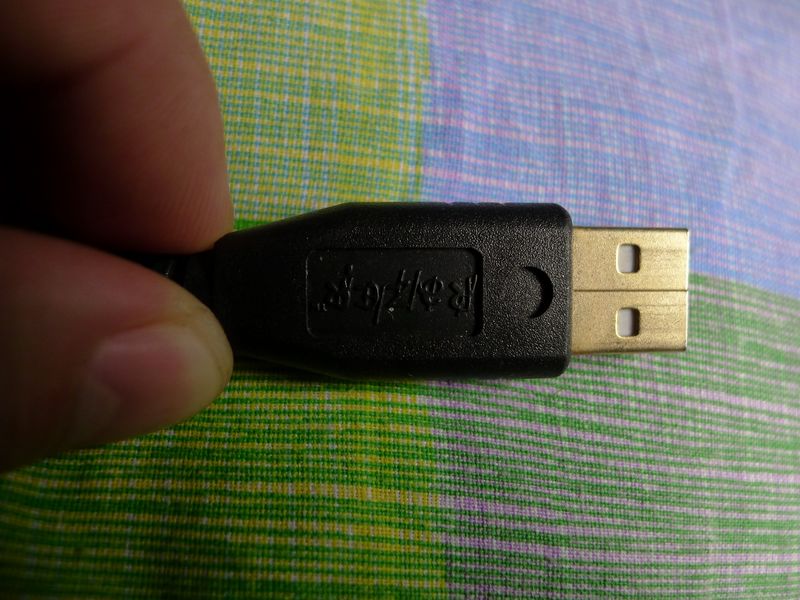 P1020155.JPG