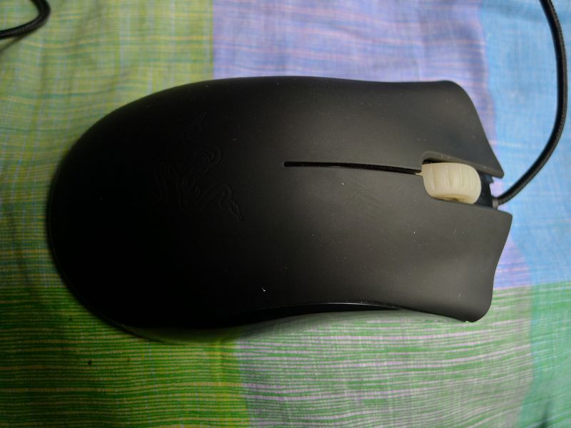 P1020151.JPG
