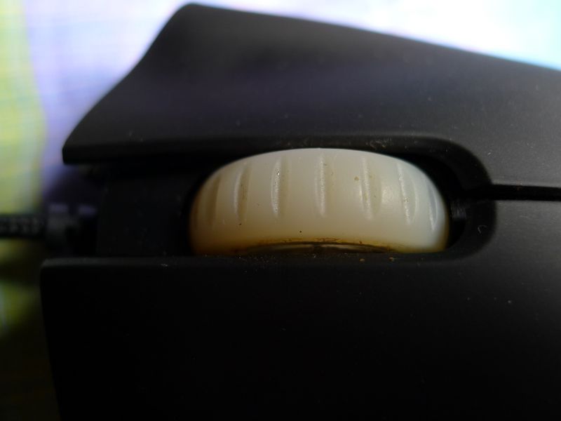 P1020156.JPG