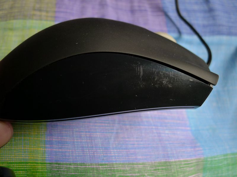 P1020152.JPG