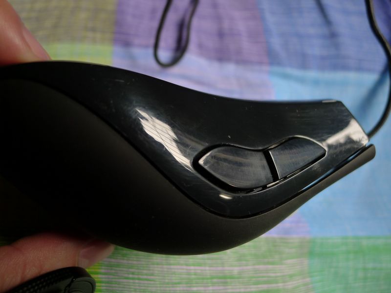 P1020153.JPG