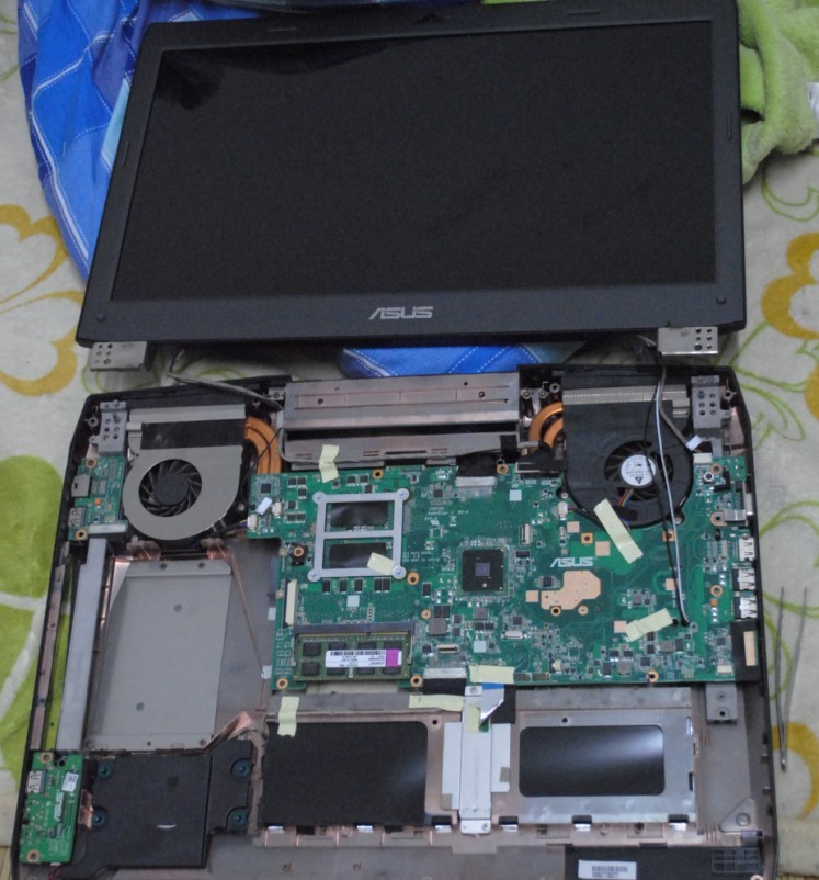 ���겻���� �ڼҲ𱾱�