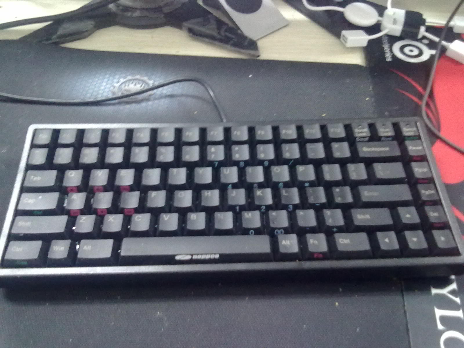 20111118276.jpg