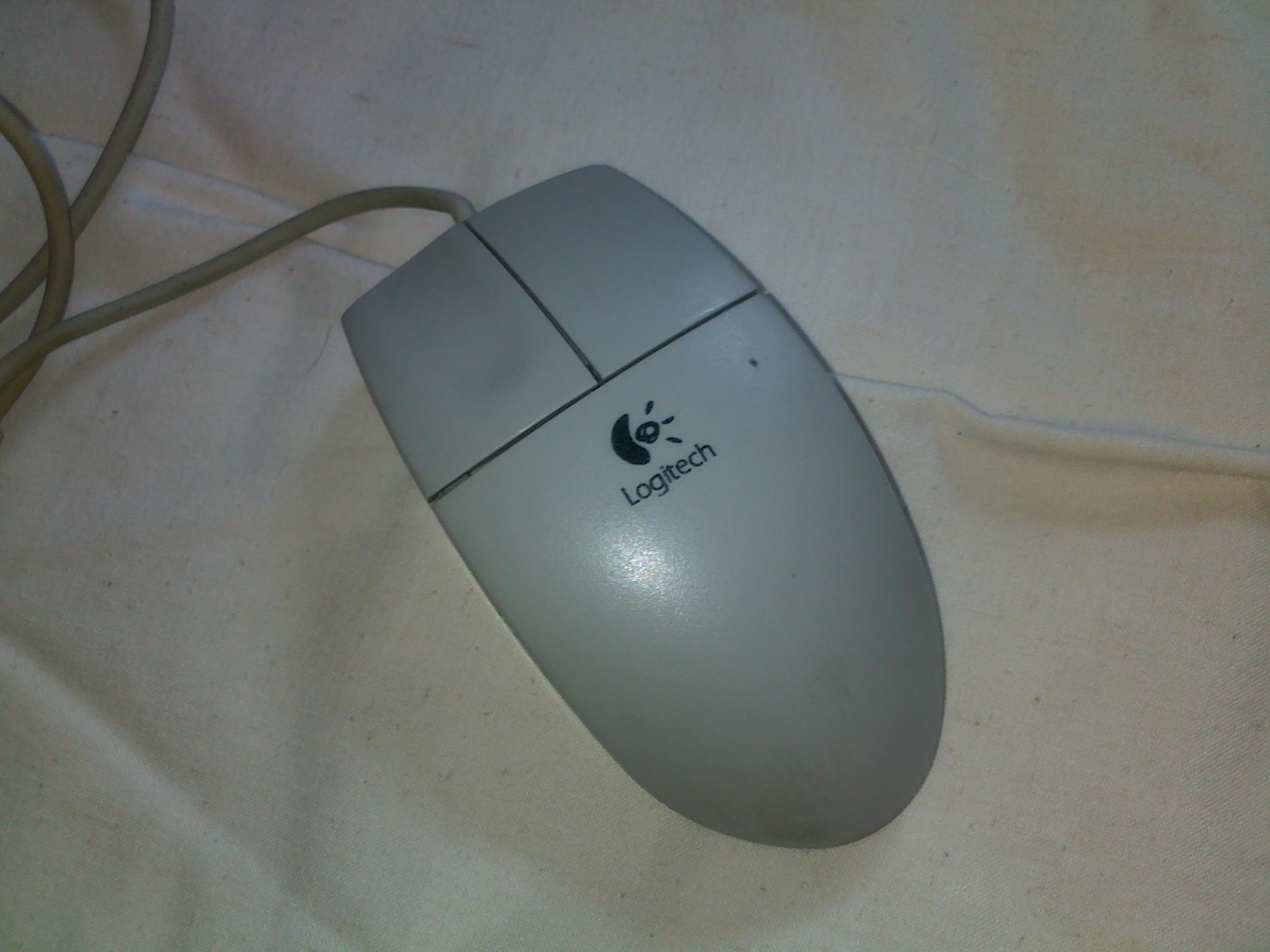 20101211081.jpg
