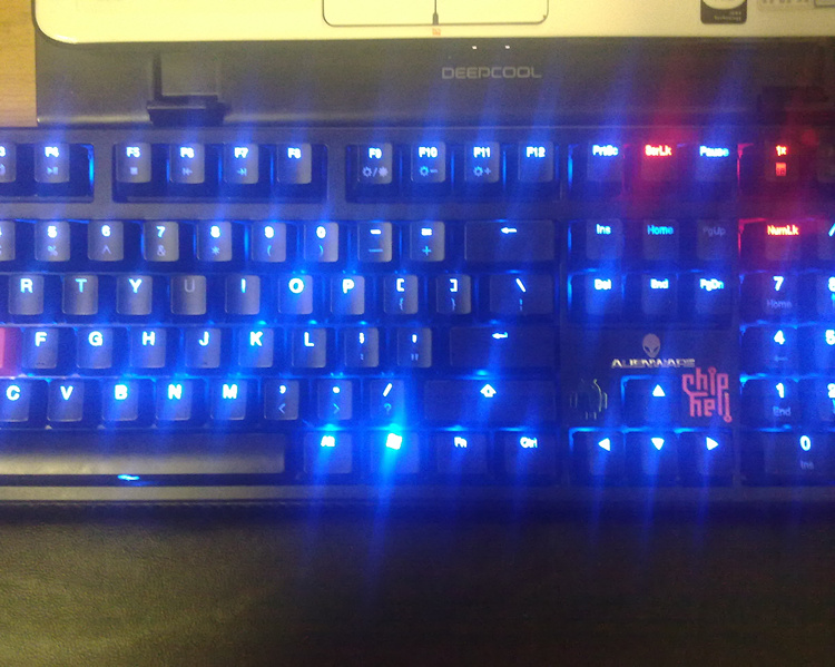 ducky shining  ҽ  λ~~~϶ͼ