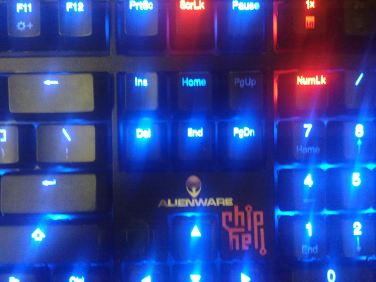ducky shining  ҽ  λ~~~϶ͼ