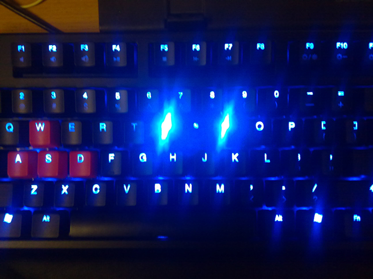 ducky shining  ҽ  λ~~~϶ͼ
