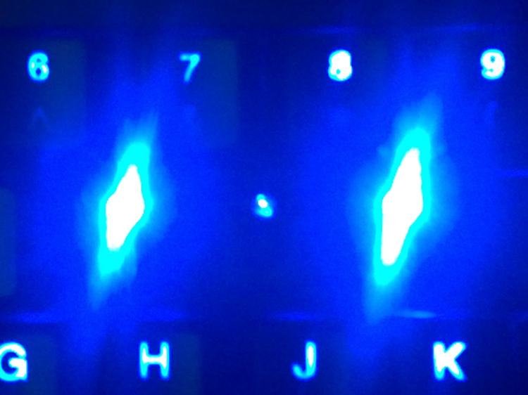 ducky shining  ҽ  λ~~~϶ͼ