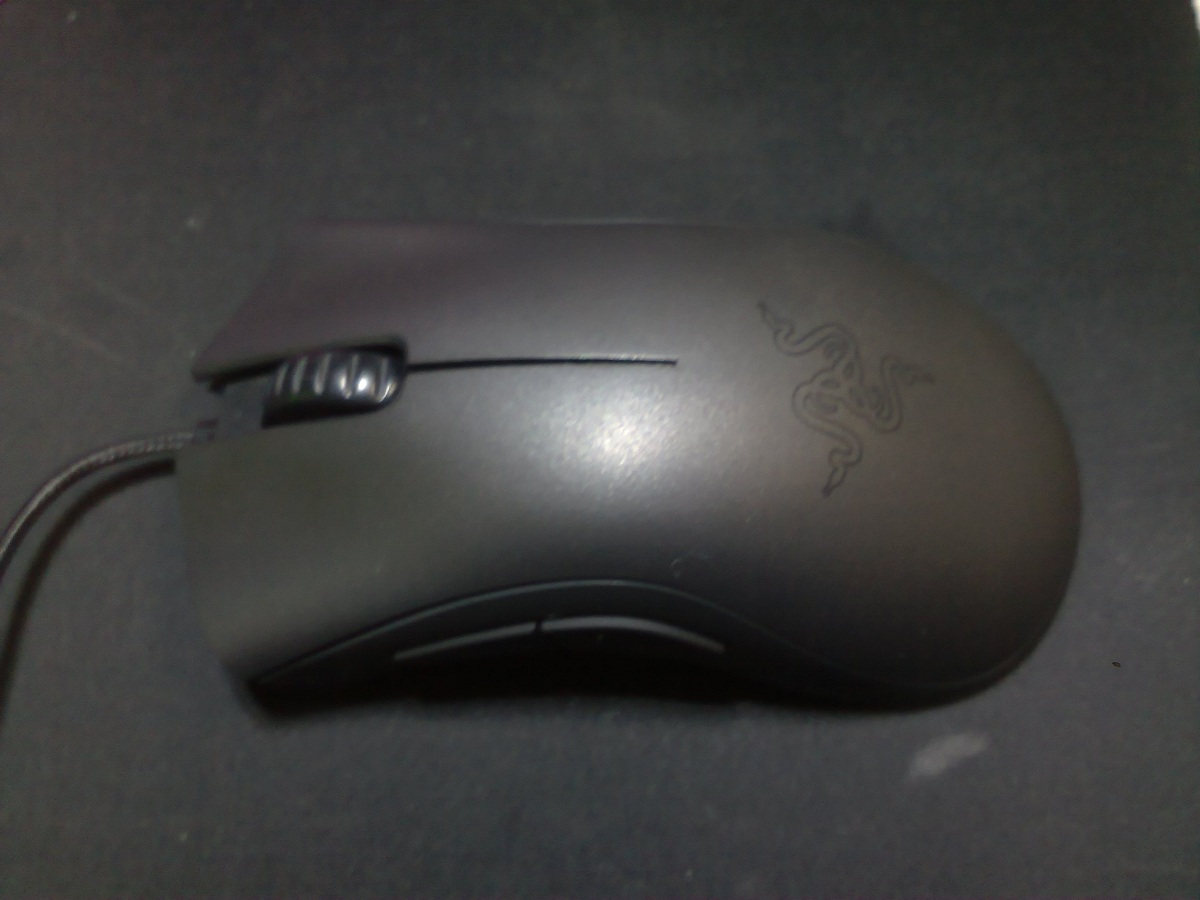 20111125244.jpg