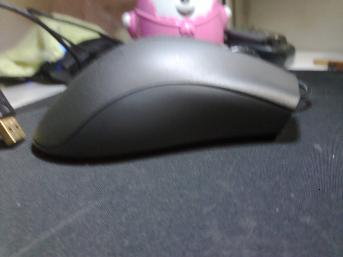 20111125247.jpg