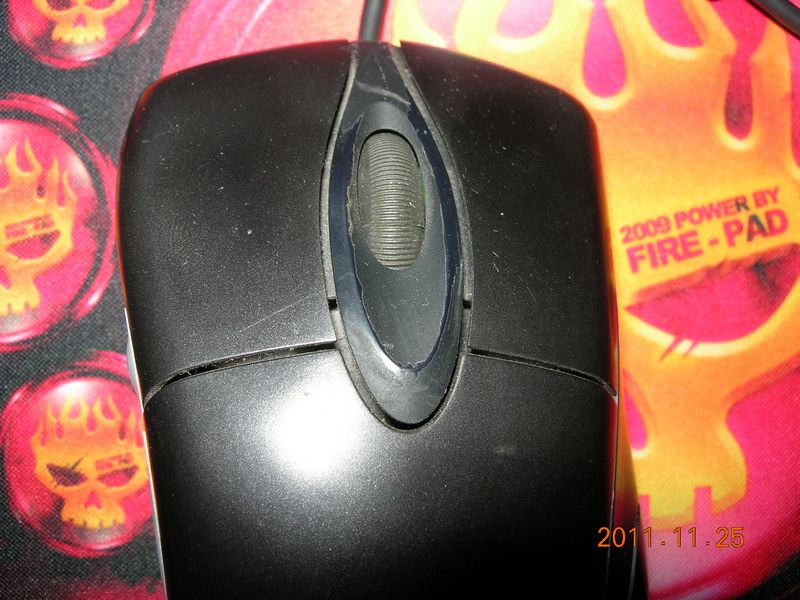 DSCN7027b.jpg