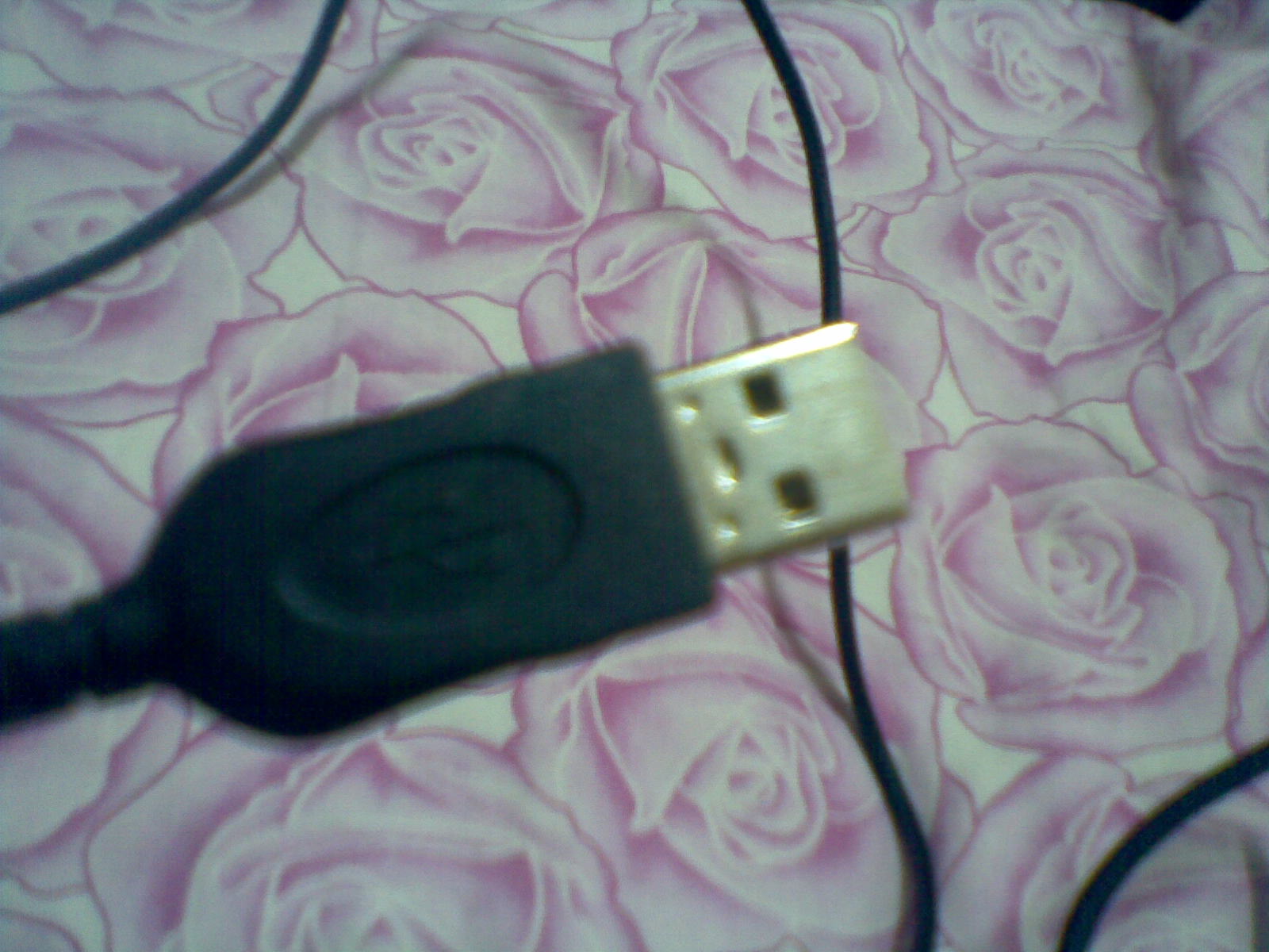 20111125(006).jpg