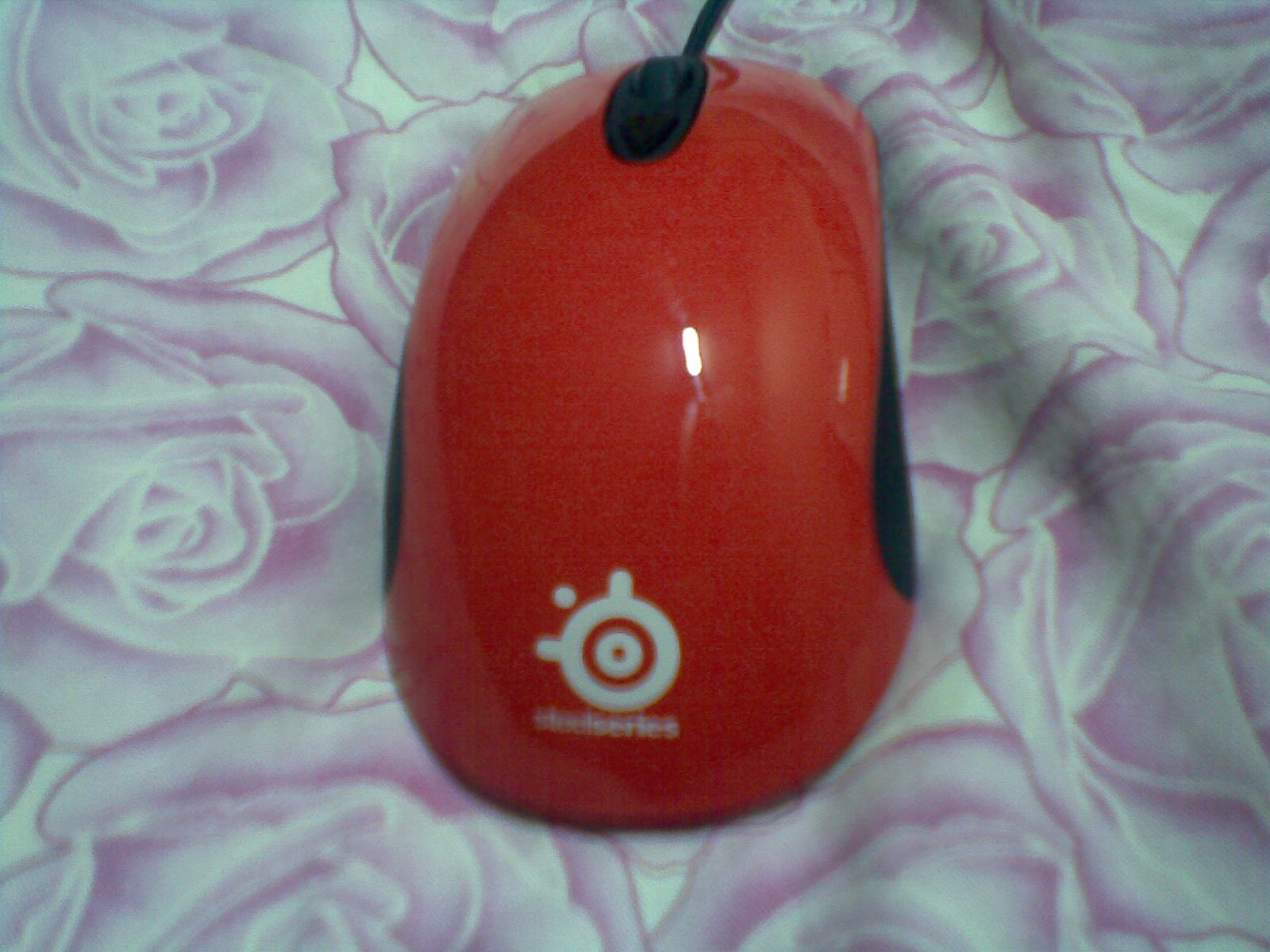 20111125(004).jpg