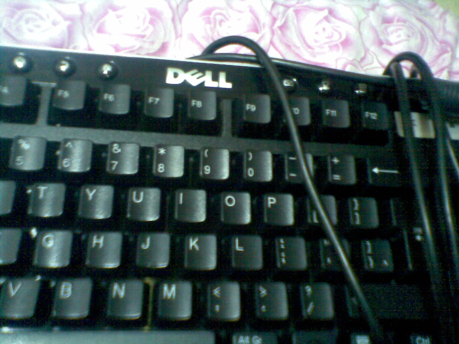 20111125(008).jpg