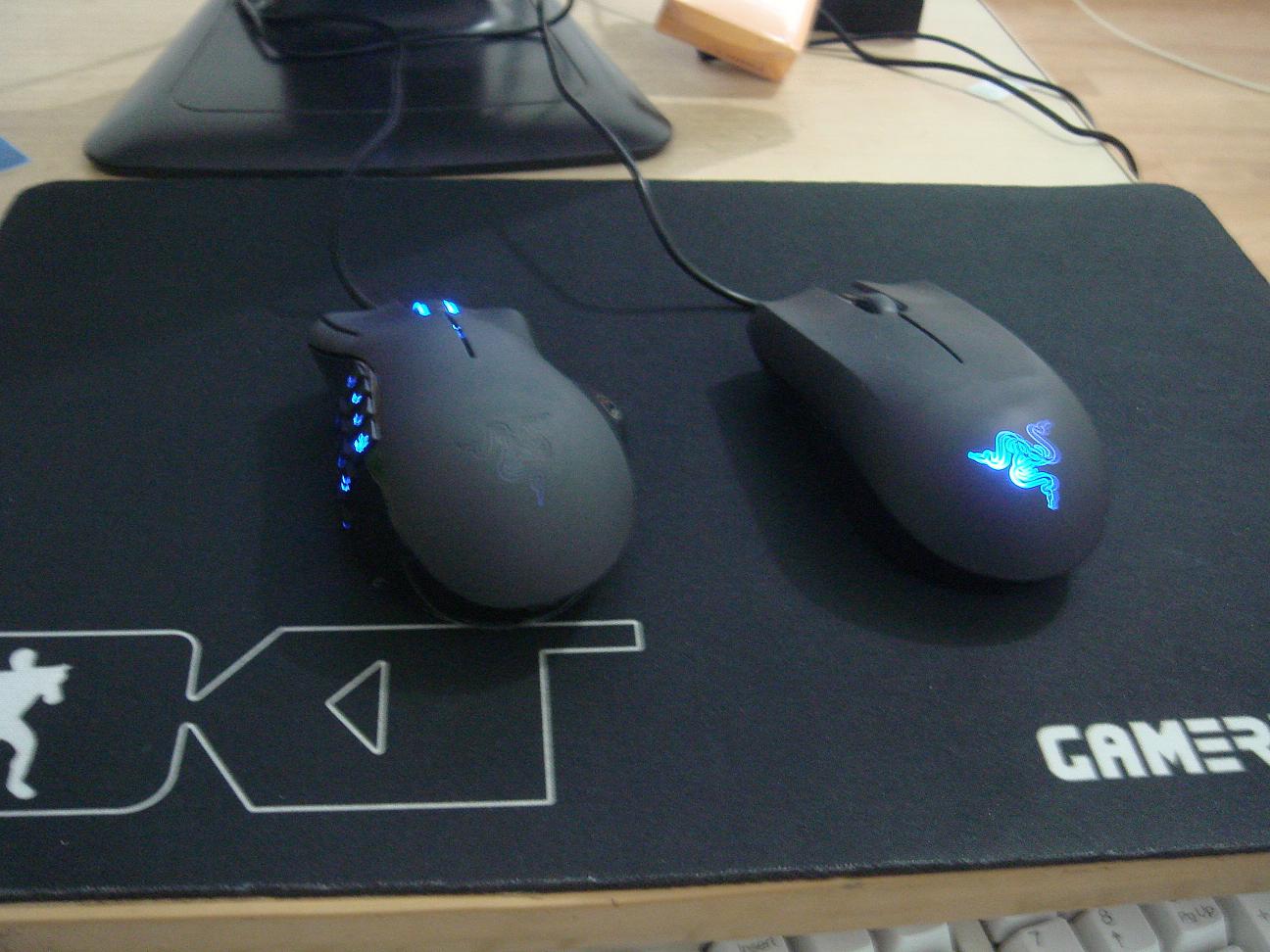 ��������֡�ʣ��kinzuս�ӡ�5L��DKT��������ִ�������