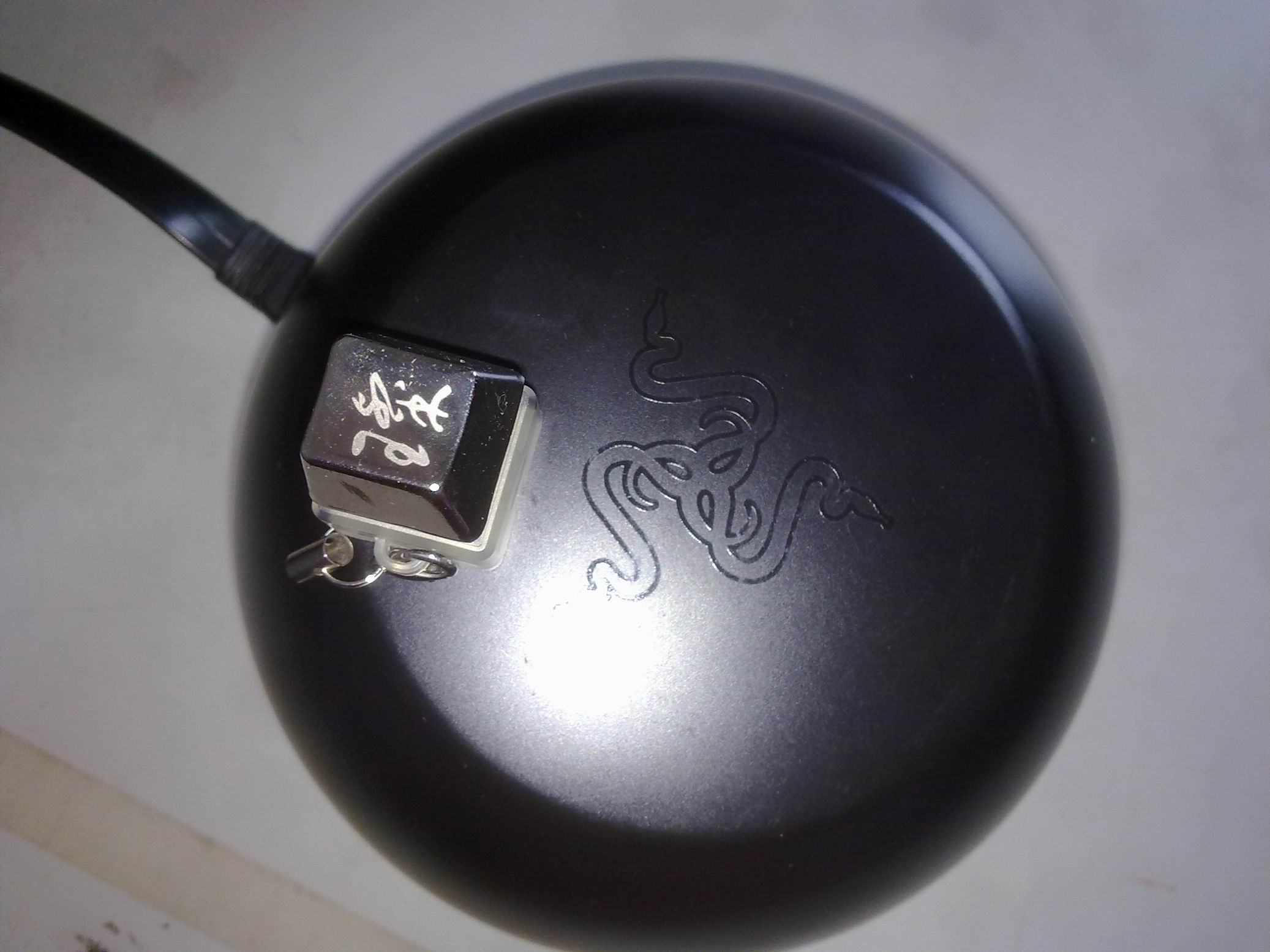 ������С 20111127392.jpg