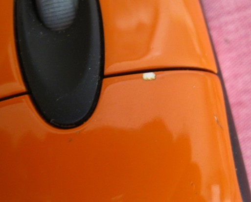 EC1��MX880��MODIO���ﶥ�������������Ǯ��