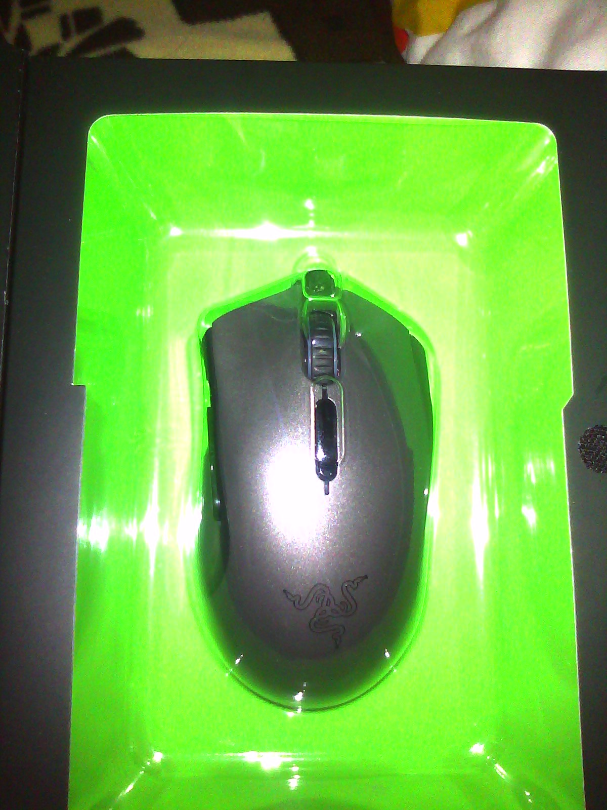 CIMG0022.jpg
