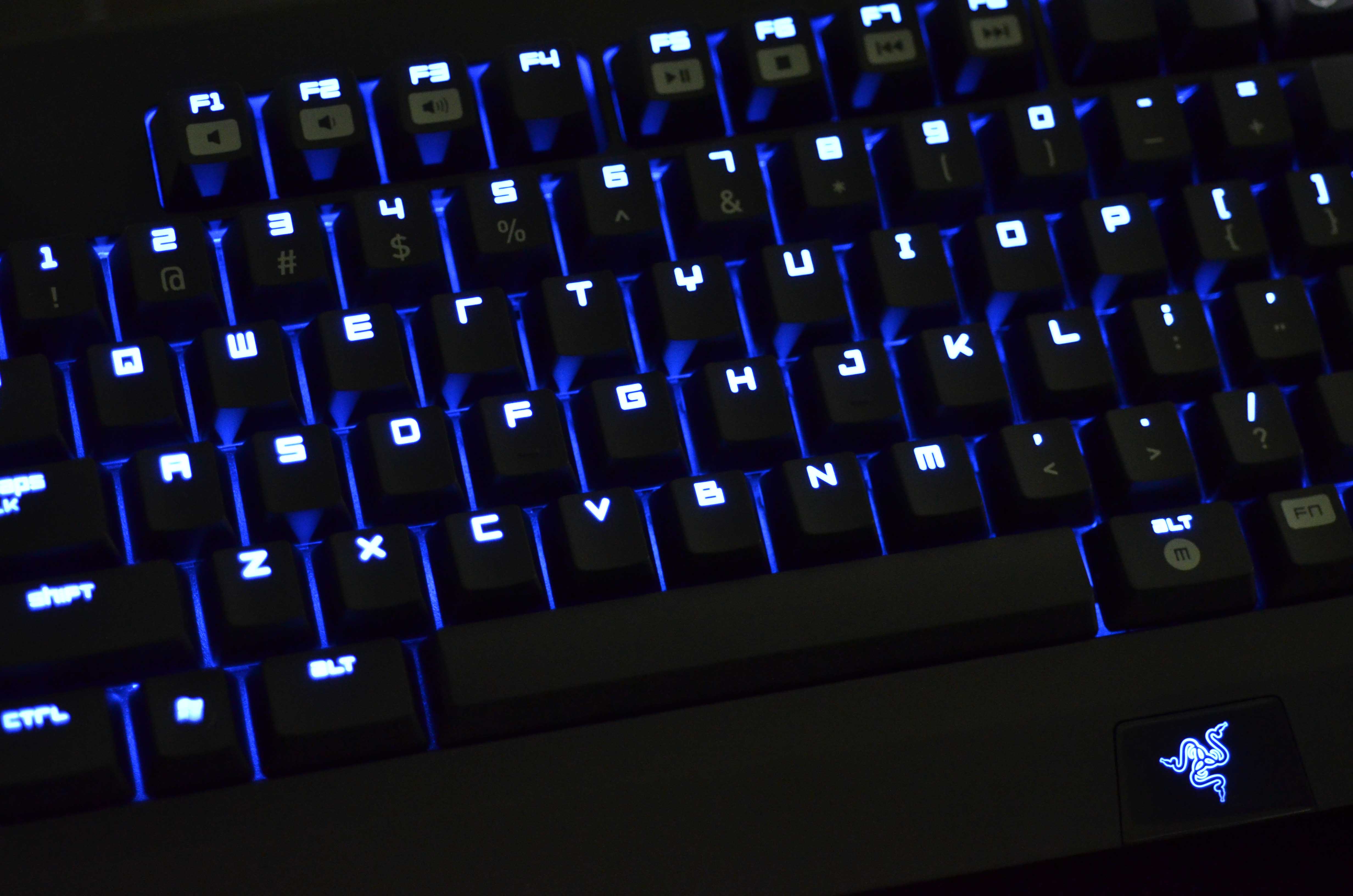 ���ݳ������ߺڹѸ������ռ������ 1050Ԫ