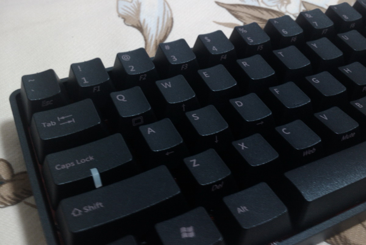IMAG0625.jpg