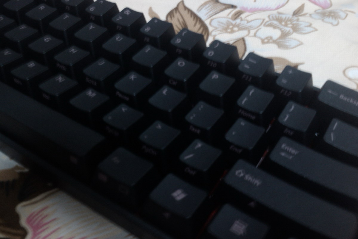 IMAG0626.jpg
