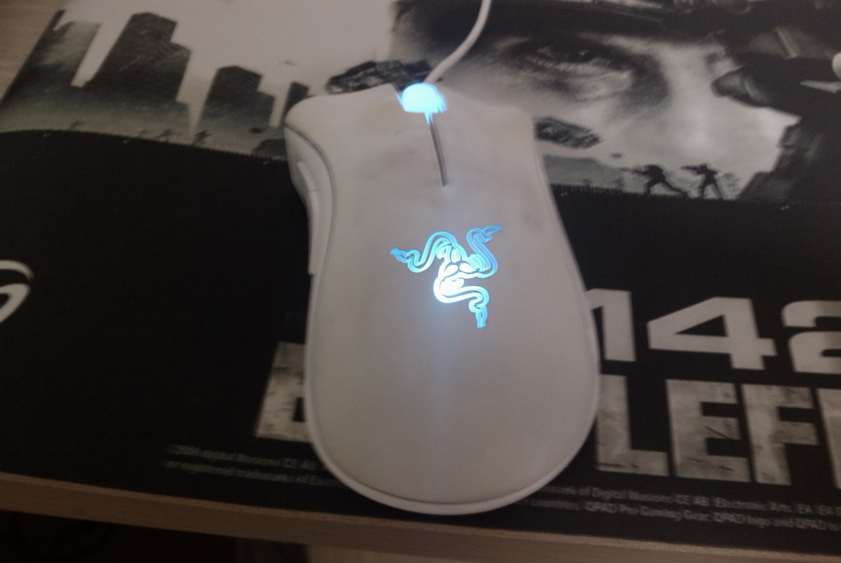 IMAG0633.jpg