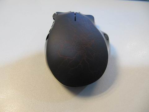 ������С IMG_5912.JPG