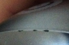 QQ��ͼ20111202120104.png