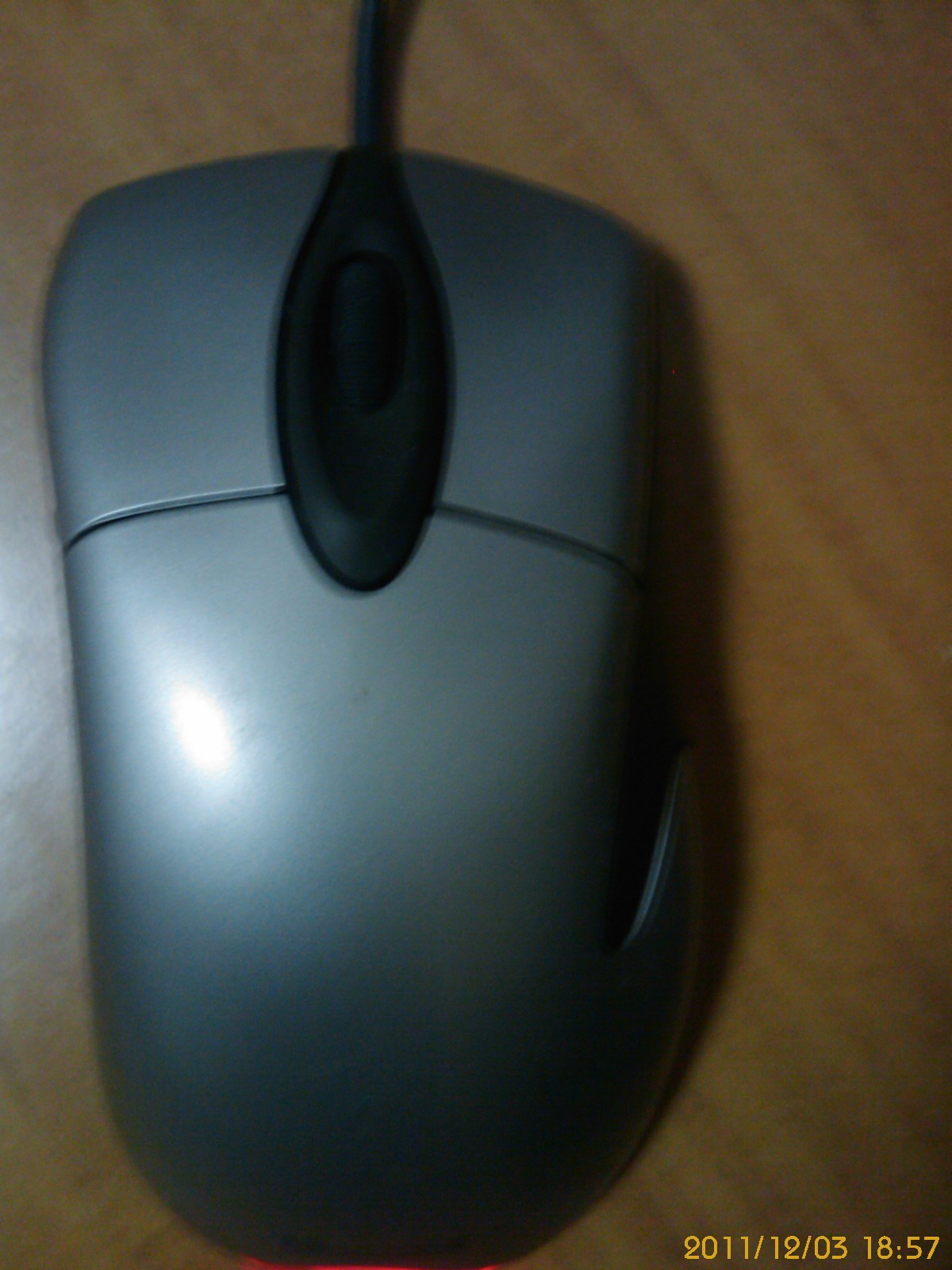 IMAG0017.jpg