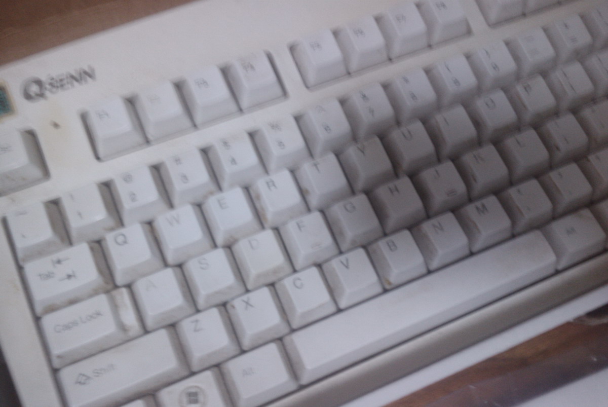 IMAG0666.jpg