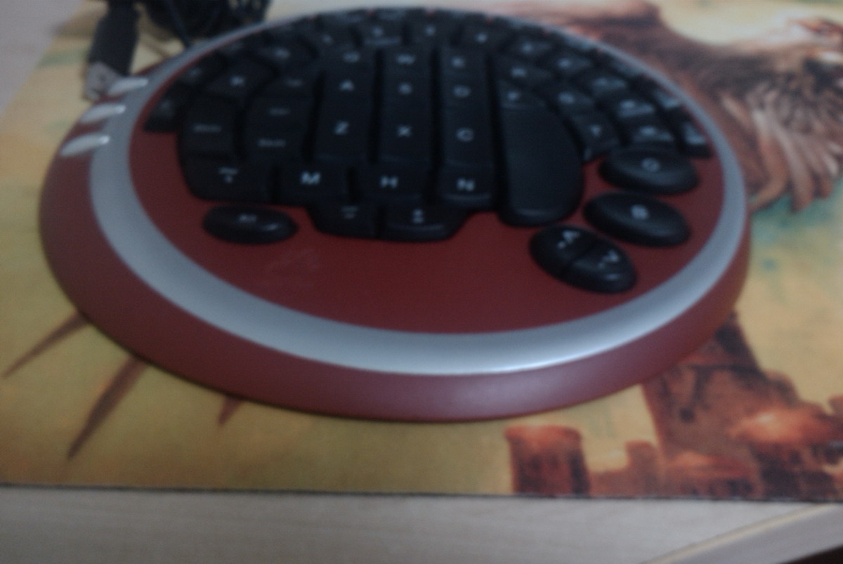 IMAG0682.jpg