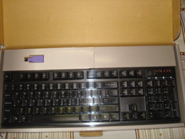 DSC07355.JPG