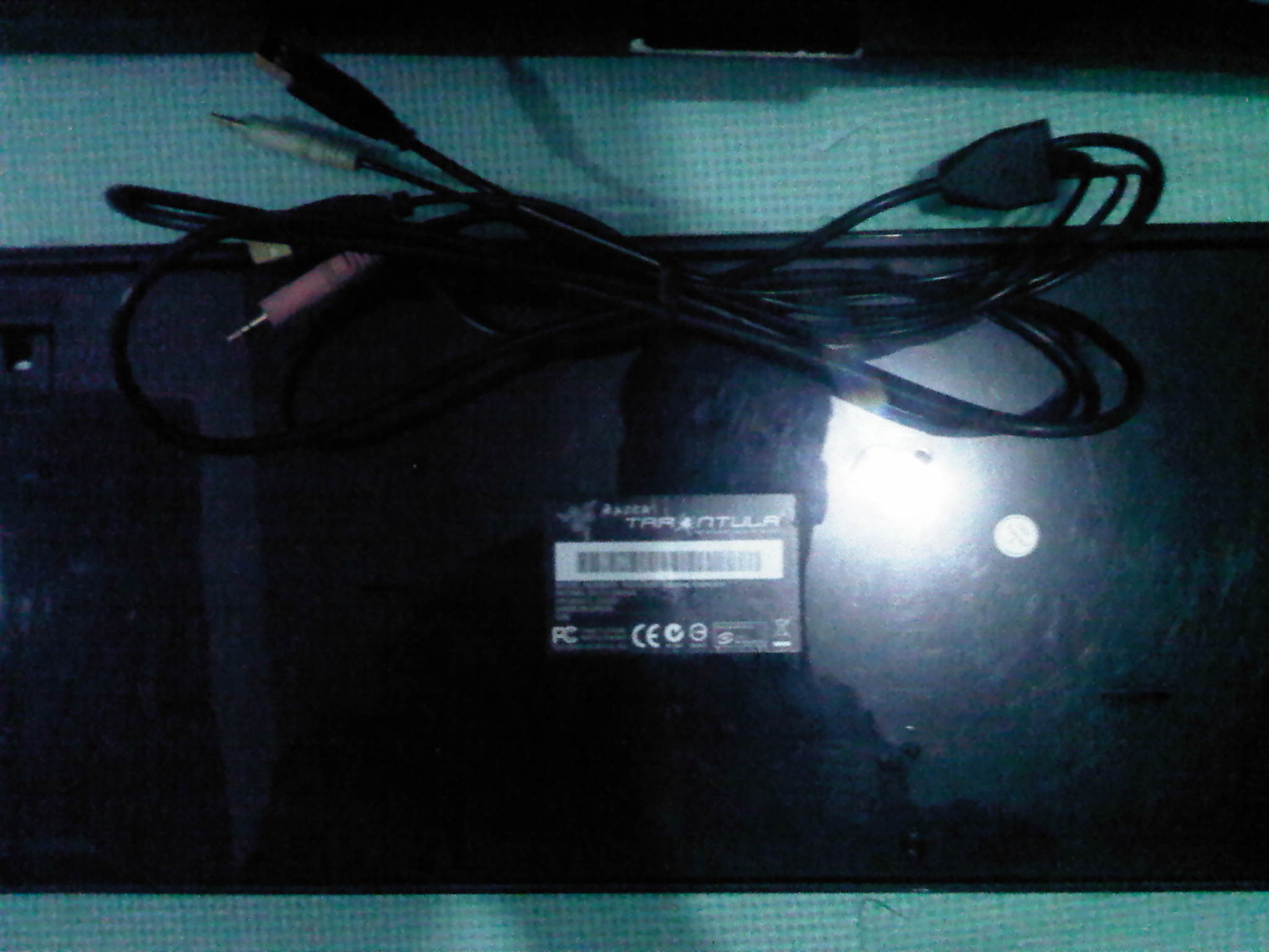 IMG00065-20111205-1612.jpg