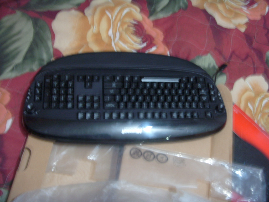 ���������������ļ��̡���΢����razer���ϳ��Ķ�֩��