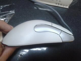 1110171548f94c8c76f19af8bd.jpg