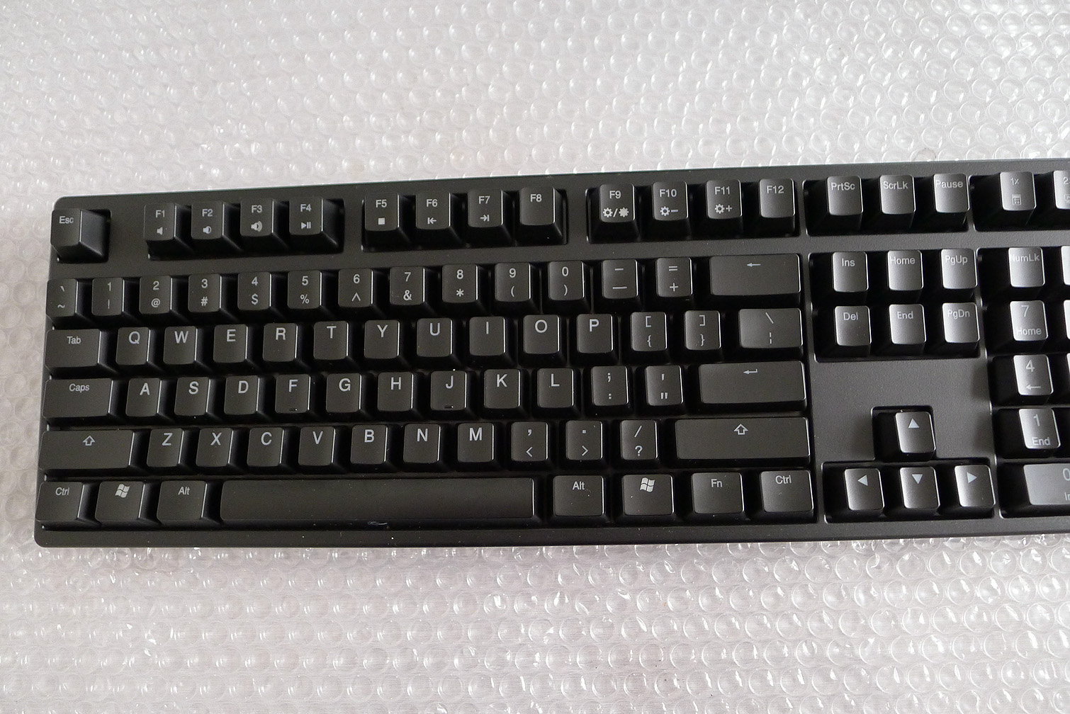 P1020234.JPG