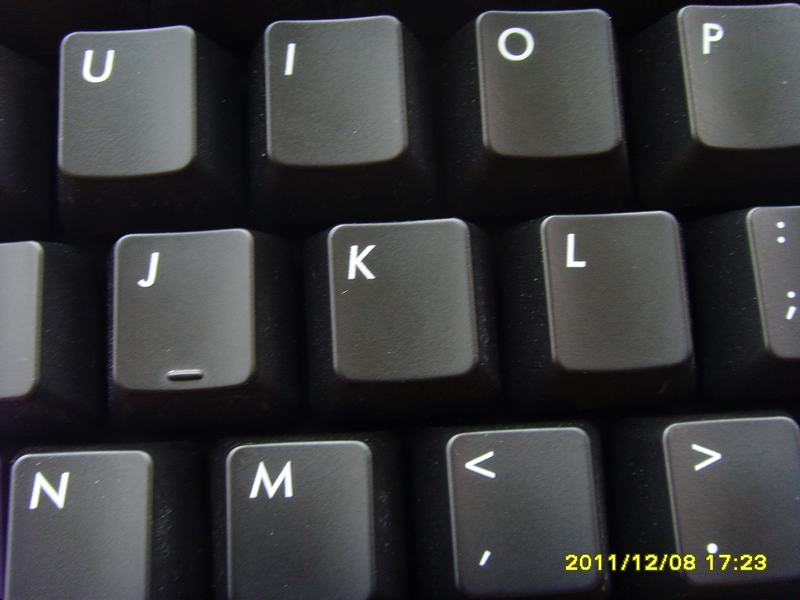 �����ϡ���Ѽ������ ����Ҫû��  û���Ҿ�����������