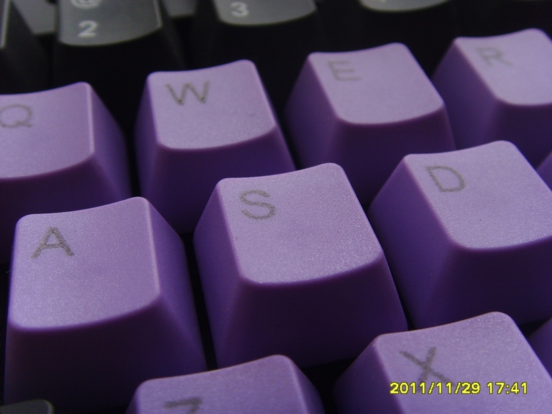 �����ϡ���Ѽ������ ����Ҫû��  û���Ҿ�����������