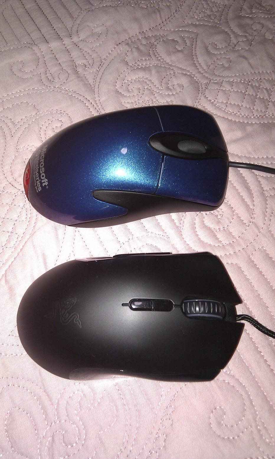 IMG_20111208_200304.jpg