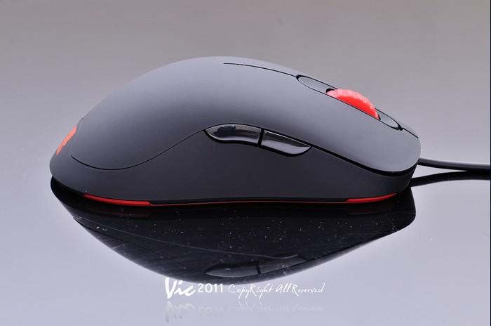 תTWZOWIE AMIM LEGEND SPAWN 桾ںŶԱͼ