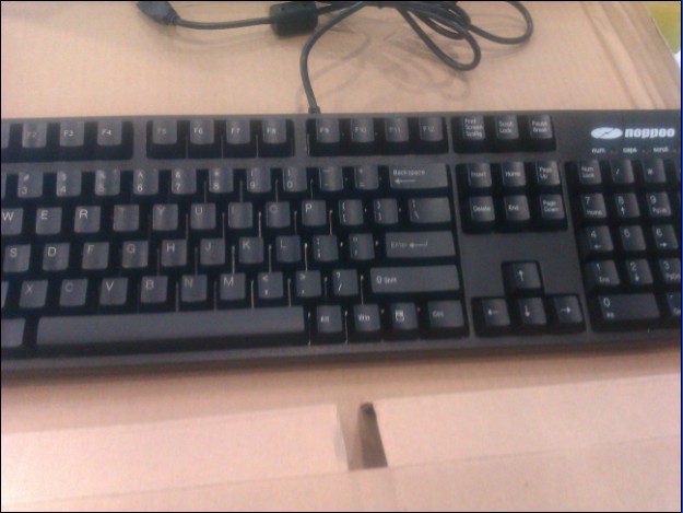 ��95��noppoo 104 ��ɫ���� IE3��0
