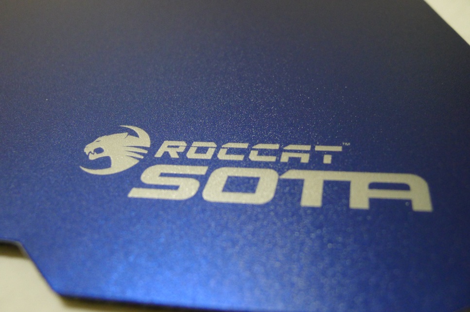 ���Լ���ʥ�����������Spectre�ͱ���Sota