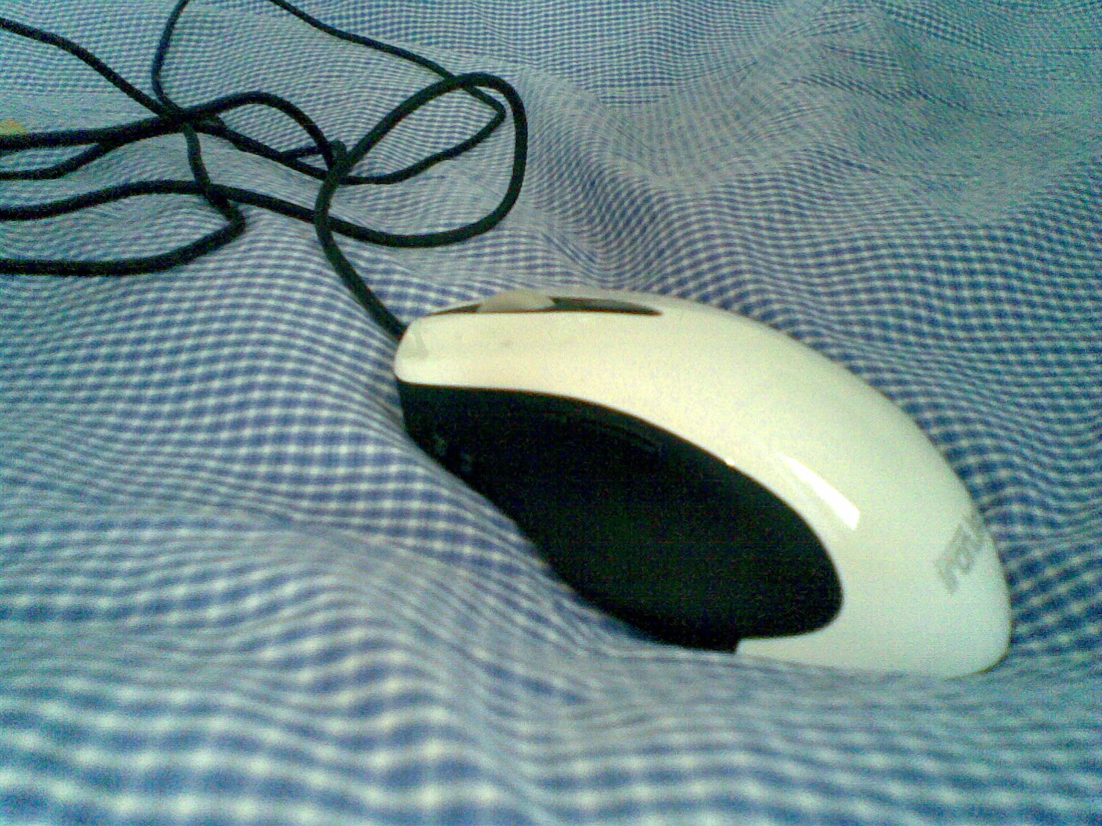 20111211(007).jpg