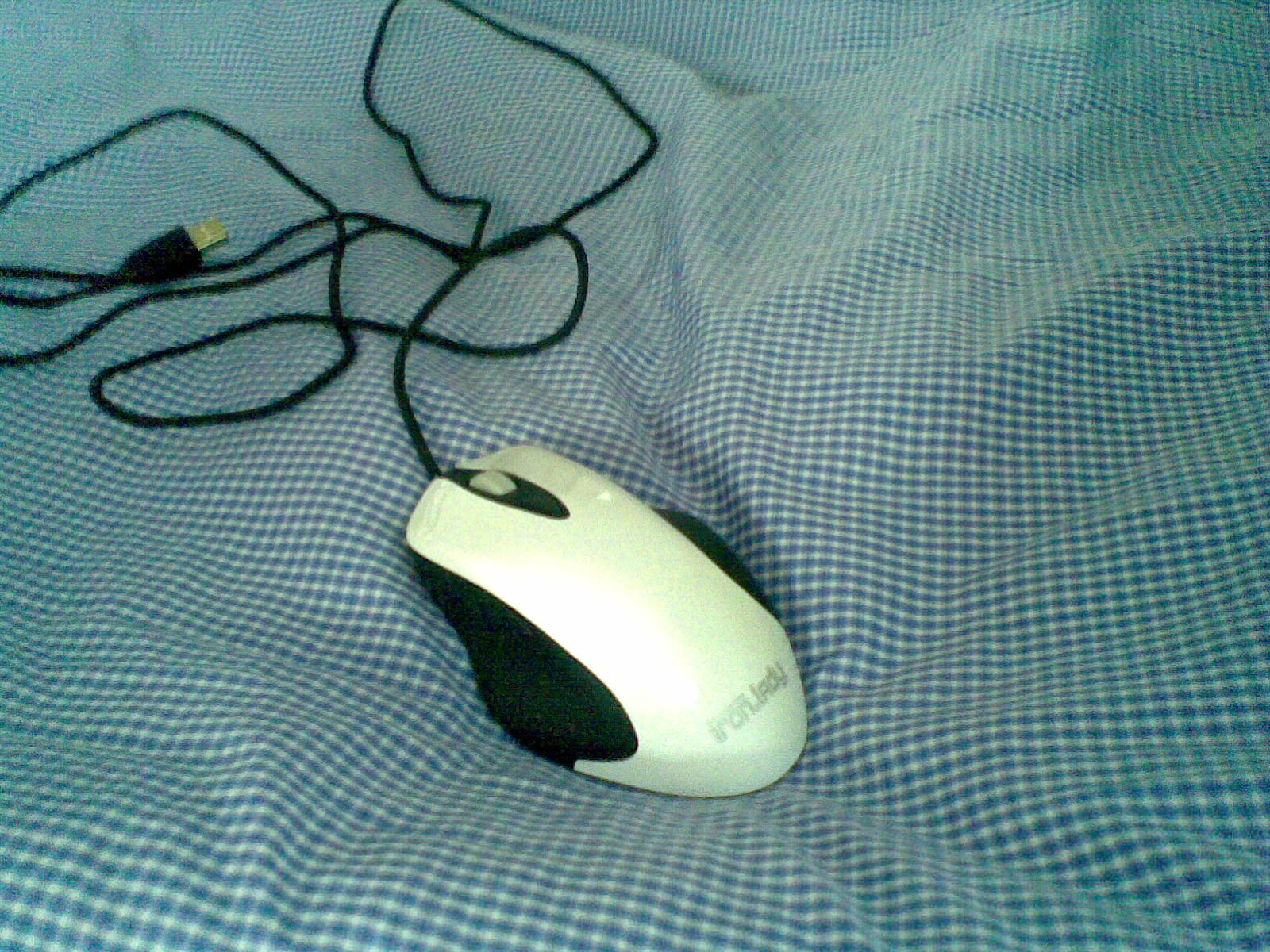 20111211(006).jpg