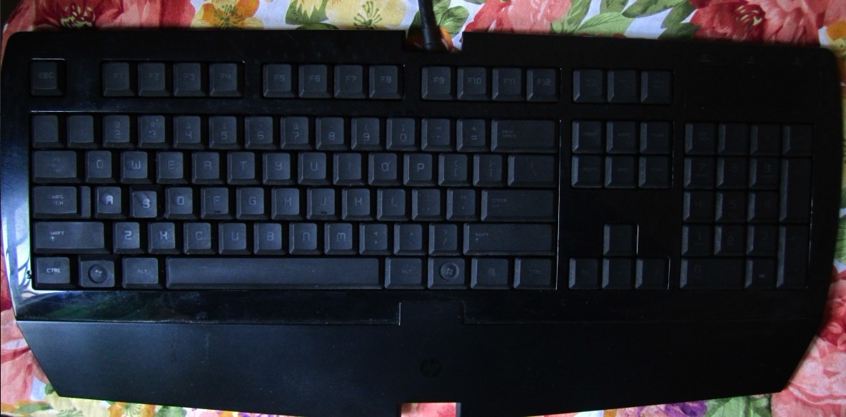 δ1.jpg