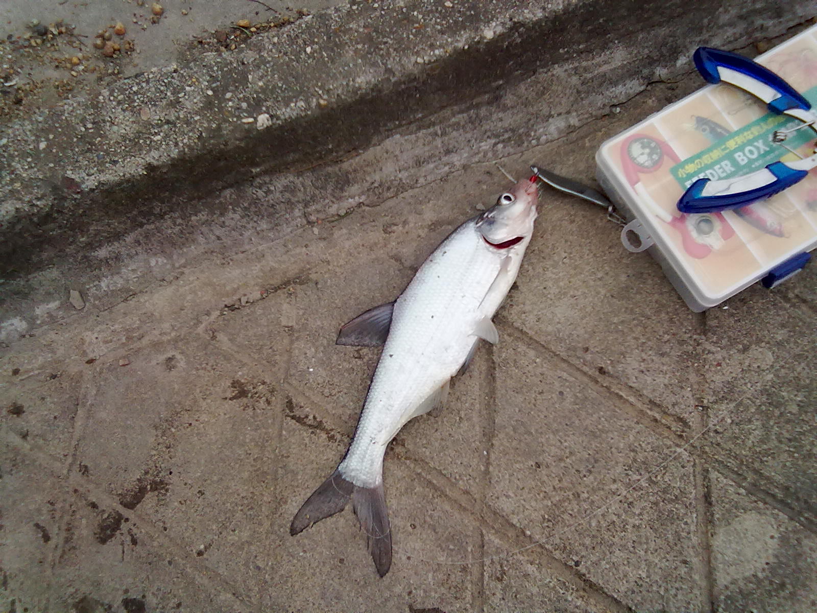 20110602090.jpg