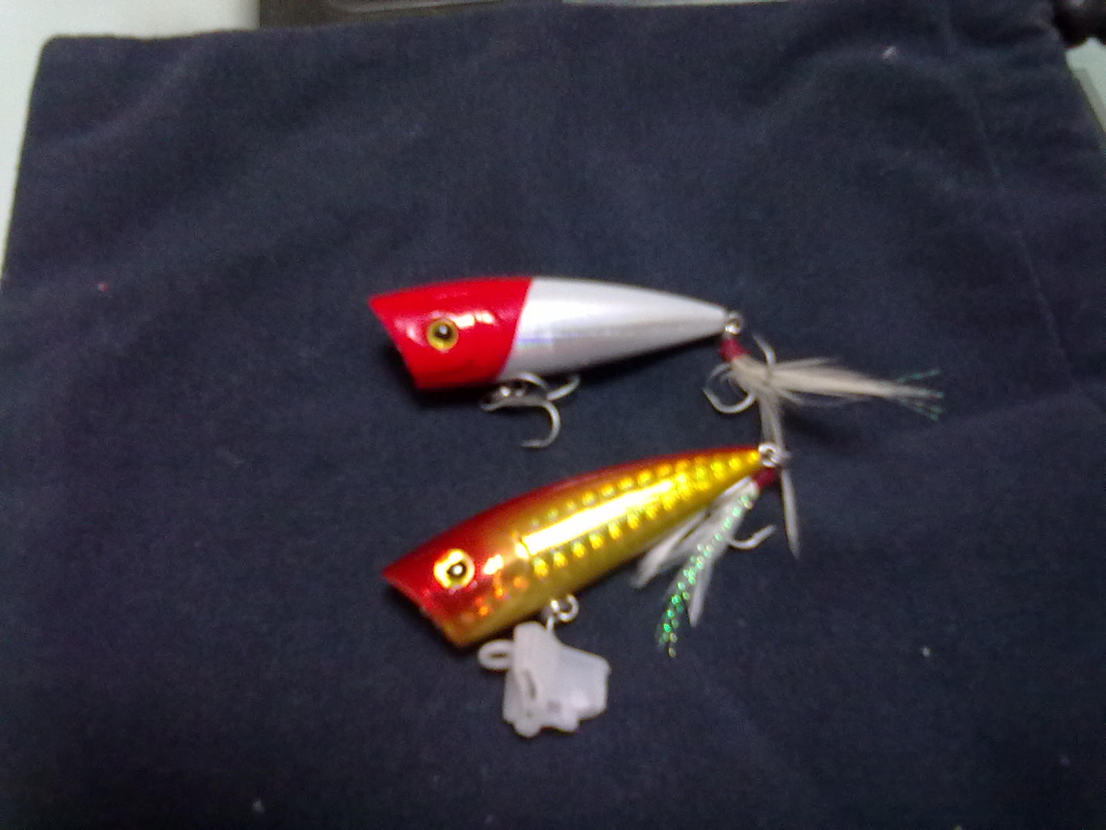 20110522081.jpg