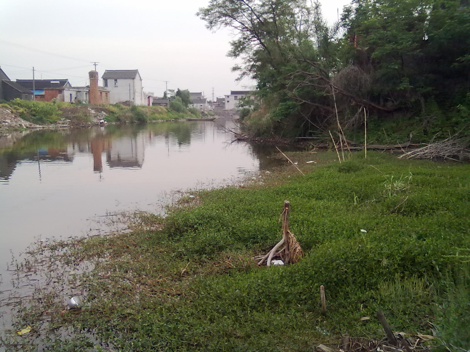20110515068.jpg